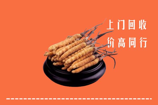 高价求购：昌宁县回收散虫草